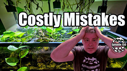 Costly Mistakes were made in the Fish Basement