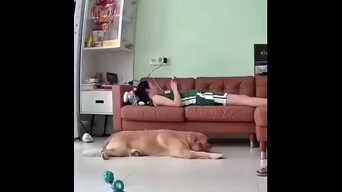 When the scared dog you adopted a couple weeks ago finally builds the courage to sleep next to you🥰