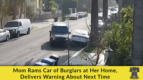 Mom Rams Car of Burglars at Her Home, Delivers Warning About Next Time