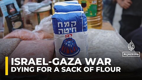 Dying for flour: Palestinians in Gaza face danger and hunger under Israeli blockade