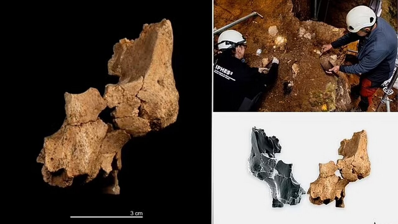 1.4M-Year-Old Human Face Found