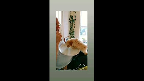 कितना मासुम है