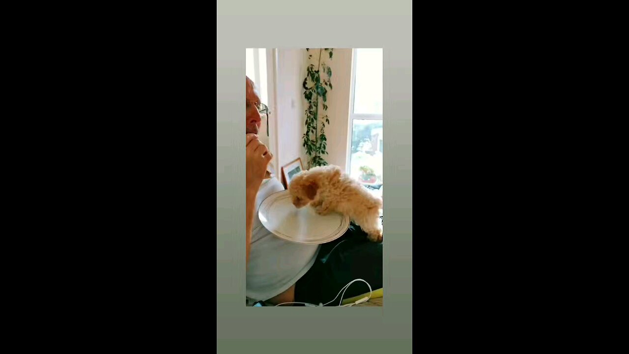 कितना मासुम है