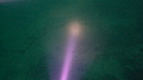 Swimming with a Paddlefish. #scubadiving, #mermetsprings