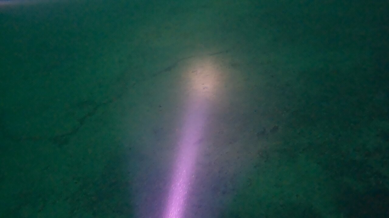 Swimming with a Paddlefish. #scubadiving, #mermetsprings