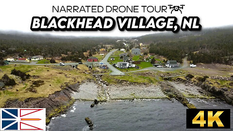 🌊 Blackhead Village, Newfoundland & Labrador 🏘️ 4K Drone