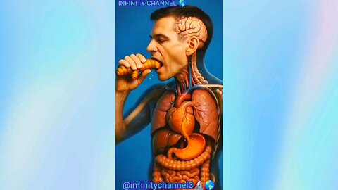 TURMERIC BENEFITS IN HUMAN BODY 💪