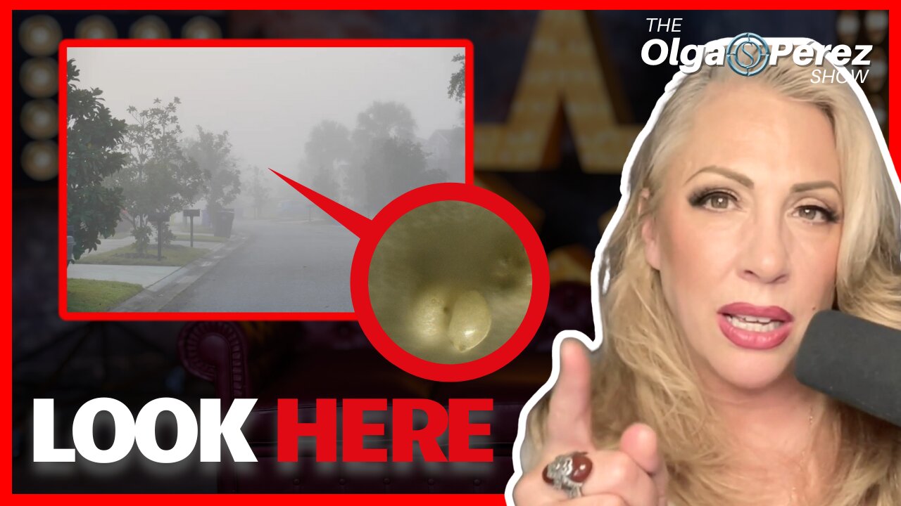Florida Fog & SHOCKING Lab Results, Trump Tariffs & More! | Ep. 268