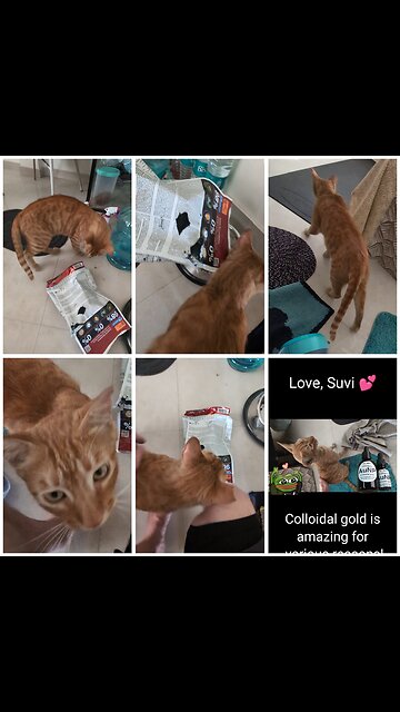 Suvi bit a hole in the biscuits packet!