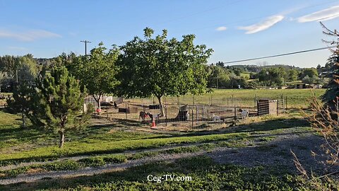 Graham Family Farm NW: 7:25 PM July 2 2025
