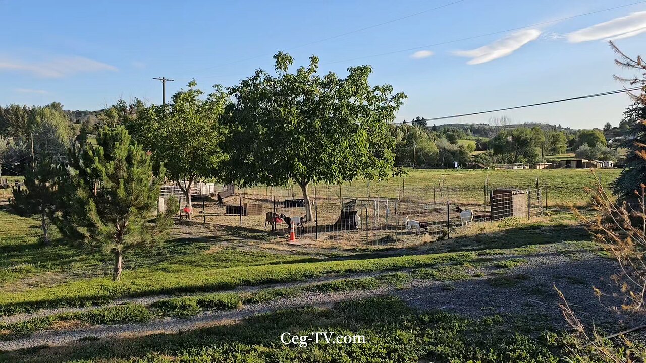 Graham Family Farm NW: 7:25 PM July 2 2025