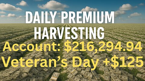 Happy Veterans Day! (Day 148, Overview + Strategy, Nov 11, 2025) #trading #PPH #thousandaire