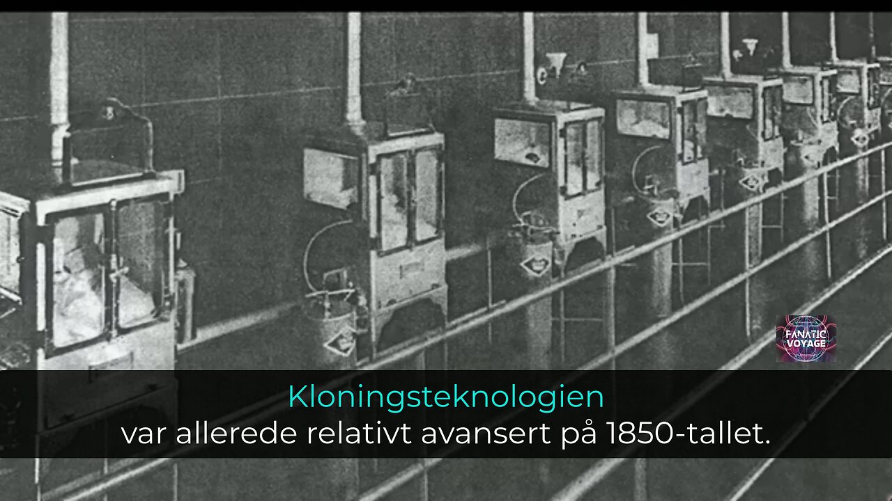 PCR Kloning Og TA Rask Subkloning Ved Hjelp av TAQ Polymerase - Clonaid Kloner