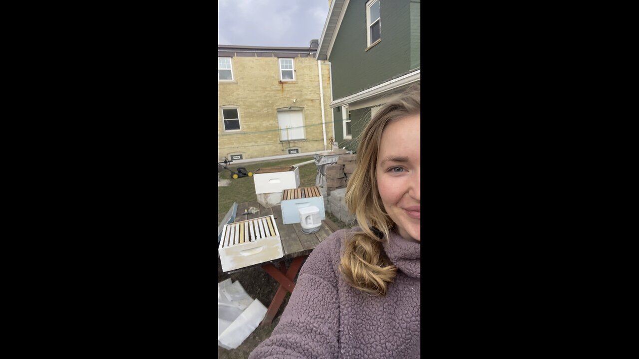 Free Bee Boxes!