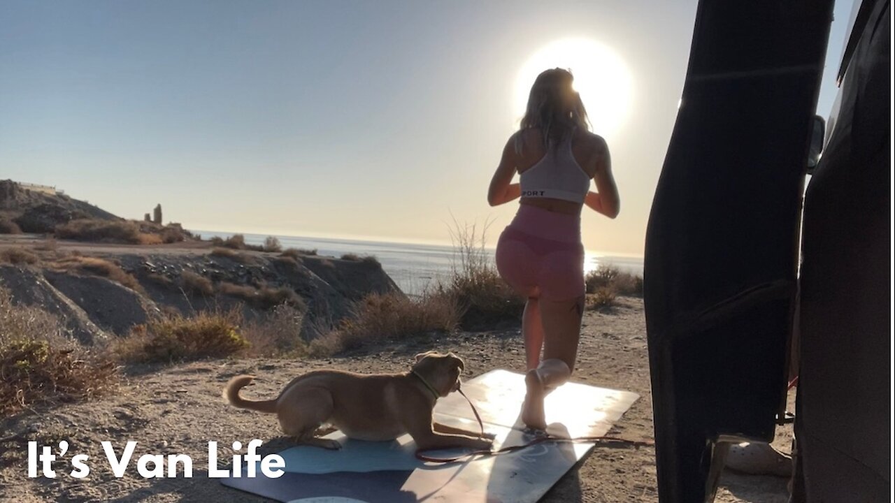 Stressful Vet Visit & Stunning Park-Ups / Van Life Spain to Ibiza