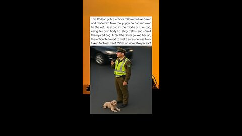 Police Officer Saves Innocent Puppy
