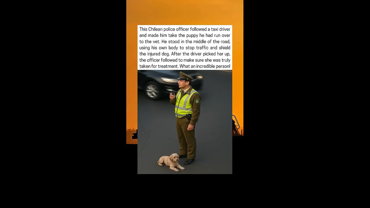 Police Officer Saves Innocent Puppy