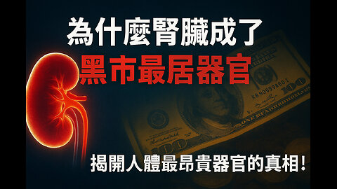 為什麼腎臟成了黑市最熱門的器官？揭開人體最昂貴器官的真相！｜How Much Is a Kidney Worth? Shocking Facts About Organ Trade !