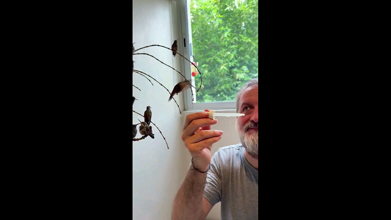 लवली विडिओ