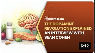 BrightLearn - The Dopamine Revolution Explained, an interview with Sean Cohen