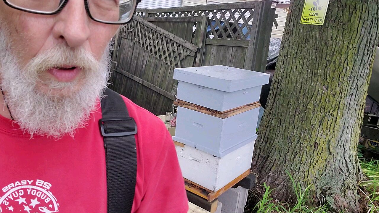 🐝Building da SHUNGITE TOWER 🐝 2nd camera