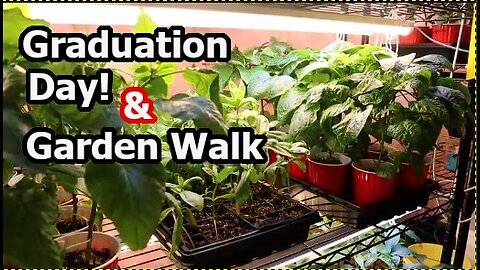 Peppers Flowers Cucumbers Going Outside & Garden Tour | Zone 6 Hardening off Vegetable Plants
