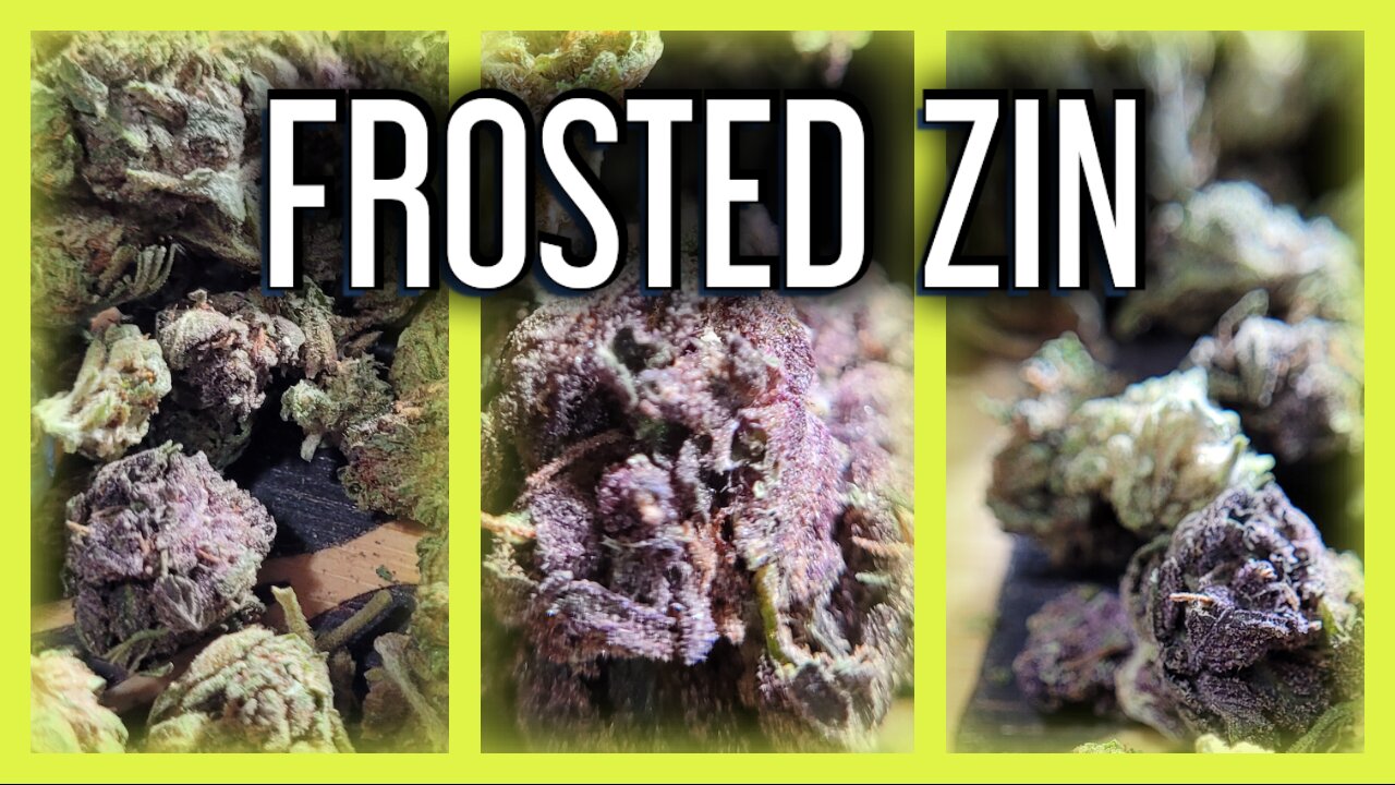 Frosted Zin Review 😍🍃 | JK Distro’s NEW Strain Tested! Legal Hemp Review