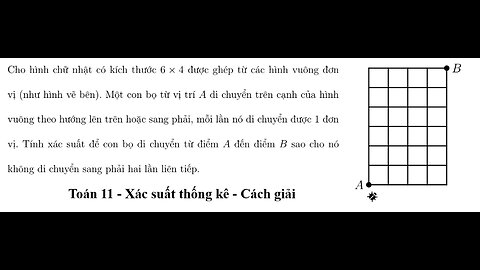 Toán 11: Xác suất: Cho hình chữ nhật có kích thước 6 × 4 được ghép từ các hình vuông đơn vị (như