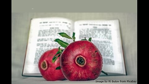 The Feast of Tabernacles and Jesus in the Temple on Sukkot