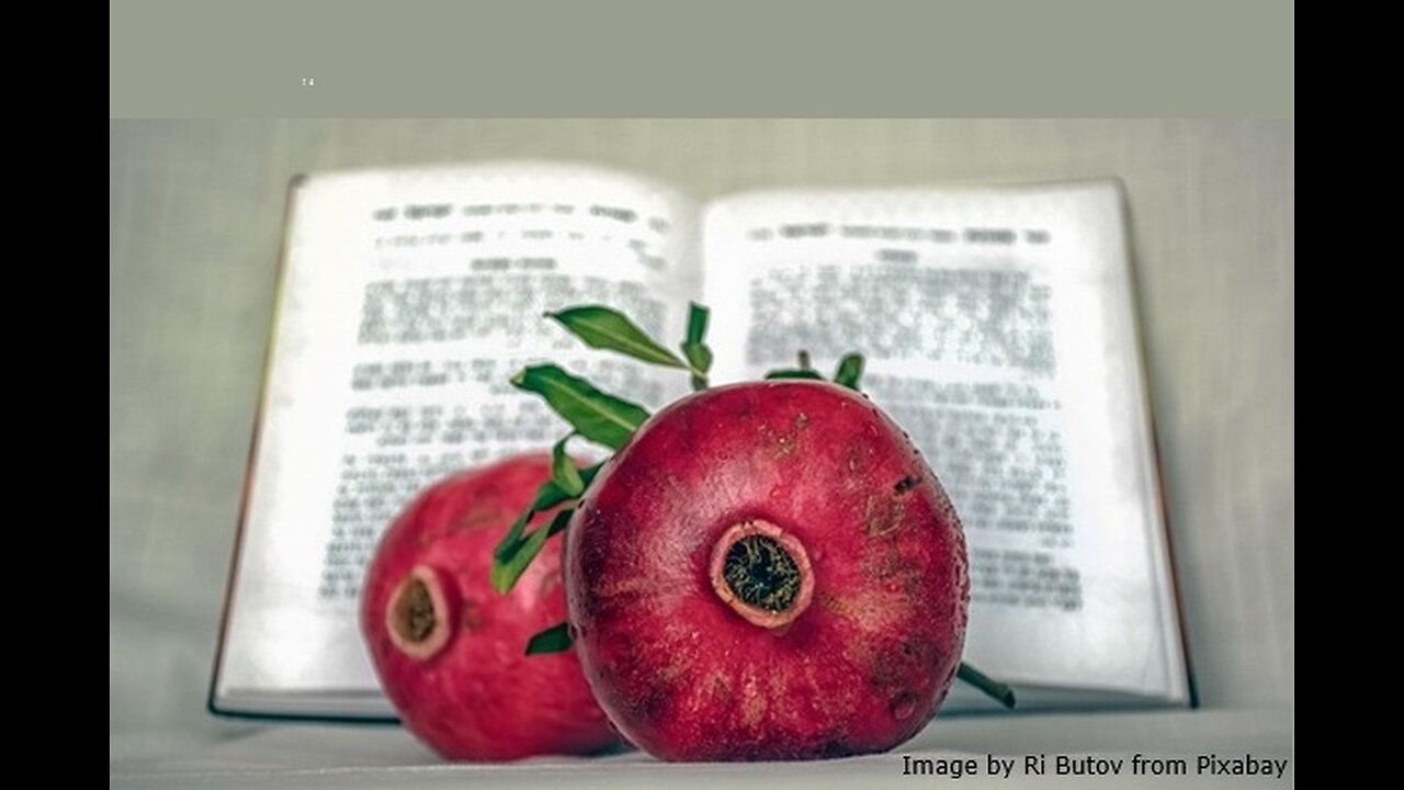 The Feast of Tabernacles and Jesus in the Temple on Sukkot