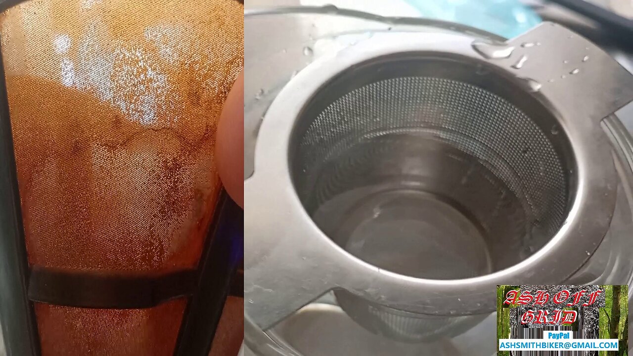 reusable water filter for bugs flora (1)