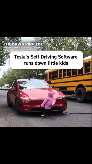 Tesla's Self-Driving Software runs down little kids.