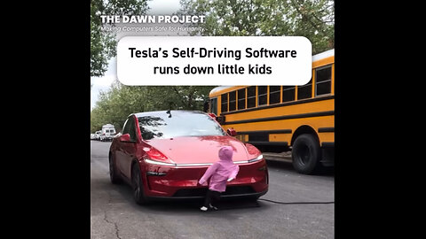 Tesla's Self-Driving Software runs down little kids.