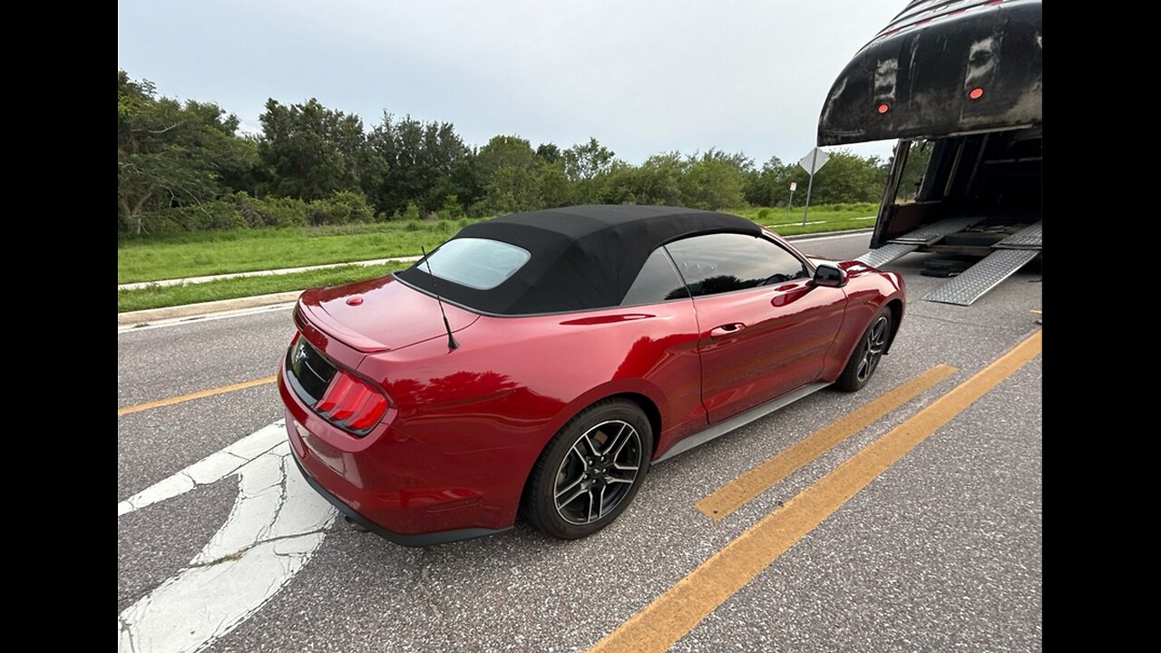 2020 Ford Mustang from Florida to Texas