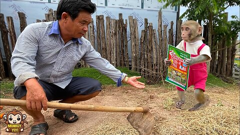 Smart YiYi takes money to buy seeds makes grandpa so surprising