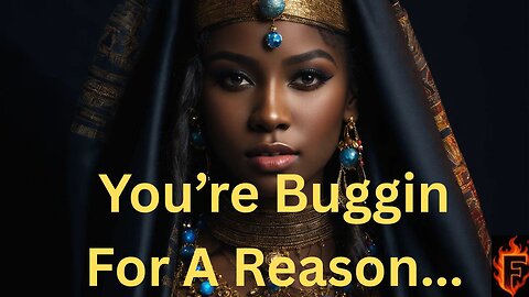 The Shocking Role Bugs Play In Your Spiritual Awakening