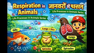Respiration in Animals | Life Processes in Animals Series | Curious Cub | Science for Kids |