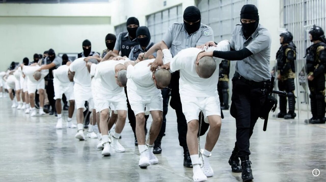 Federal Judges Block Deportations of Venezuelan Men, Citing Legal Challenges