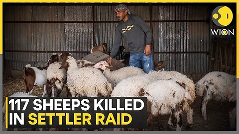Israeli Settlers Accused Of Killing 117 Sheep In West Bank Attack | WION