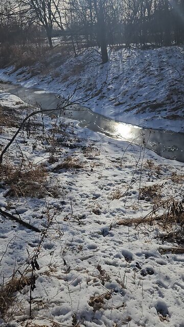 Frozen Drainage Ditch to Salt Creek