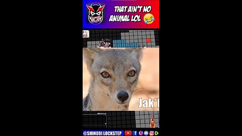 That Ain't an Animal - Ragnarok Online | Shinobi Lockstep