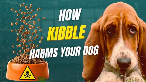 How to Raise a 20-Year-Old Dog | What Your Vet Won’t Tell You with Holistic Vet Dr. Nick Thompson