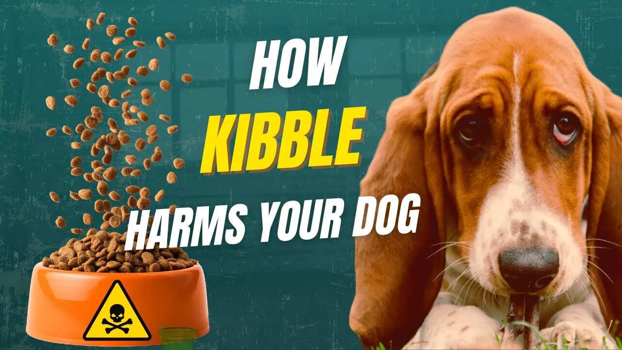 How to Raise a 20-Year-Old Dog | What Your Vet Won’t Tell You with Holistic Vet Dr. Nick Thompson