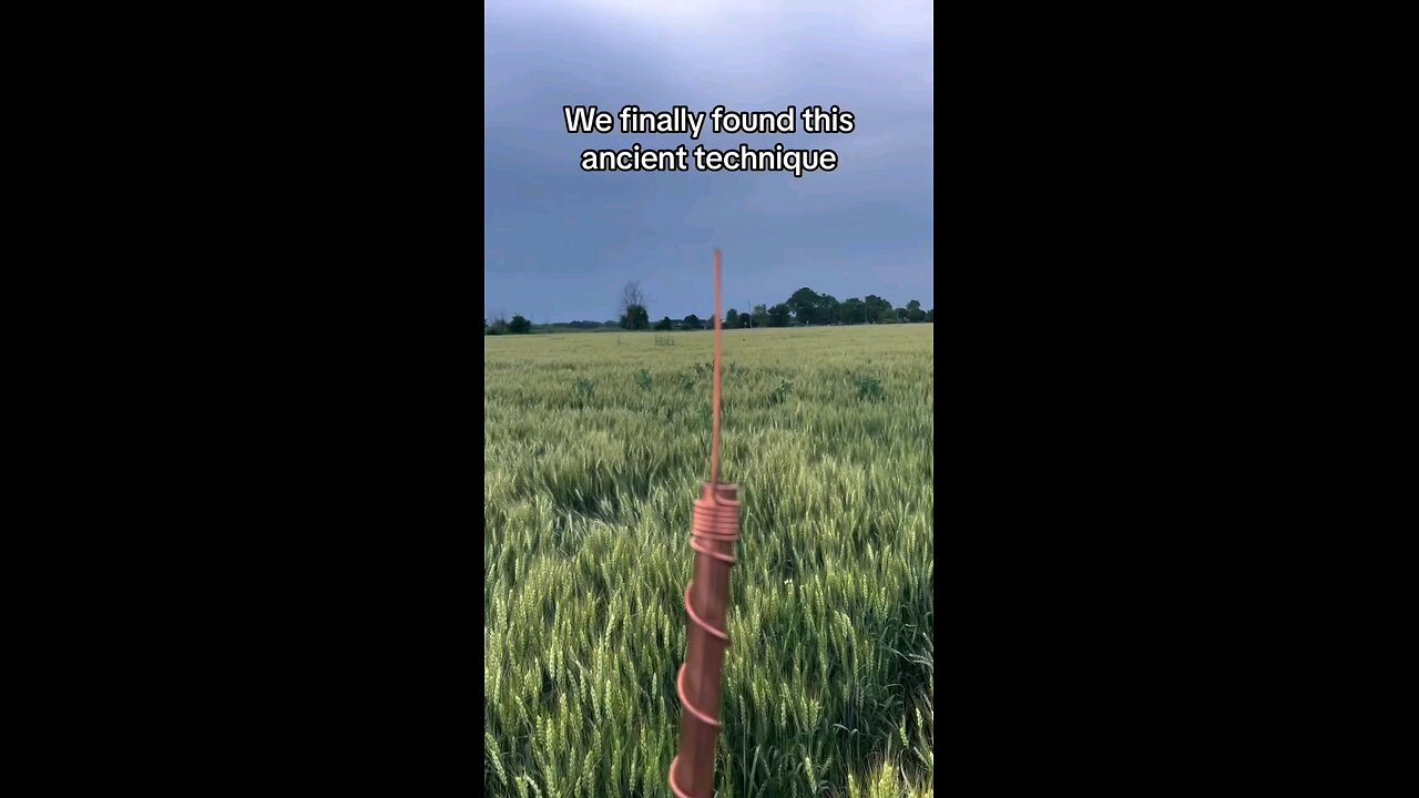 😶‍🌫️