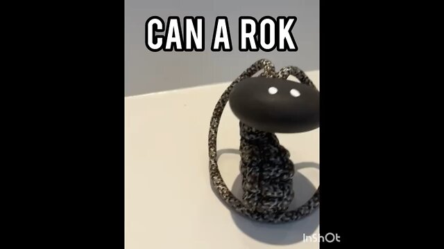 Rok Arm Pet Tricks! Are you impressed?