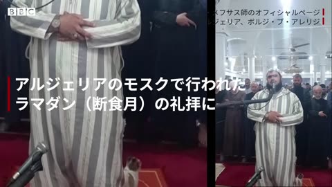 ラマダンの礼拝にネコが乱入 Cat rides on imam's shoulder