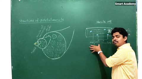 +2 Biology Chapter 16 Part 3-292