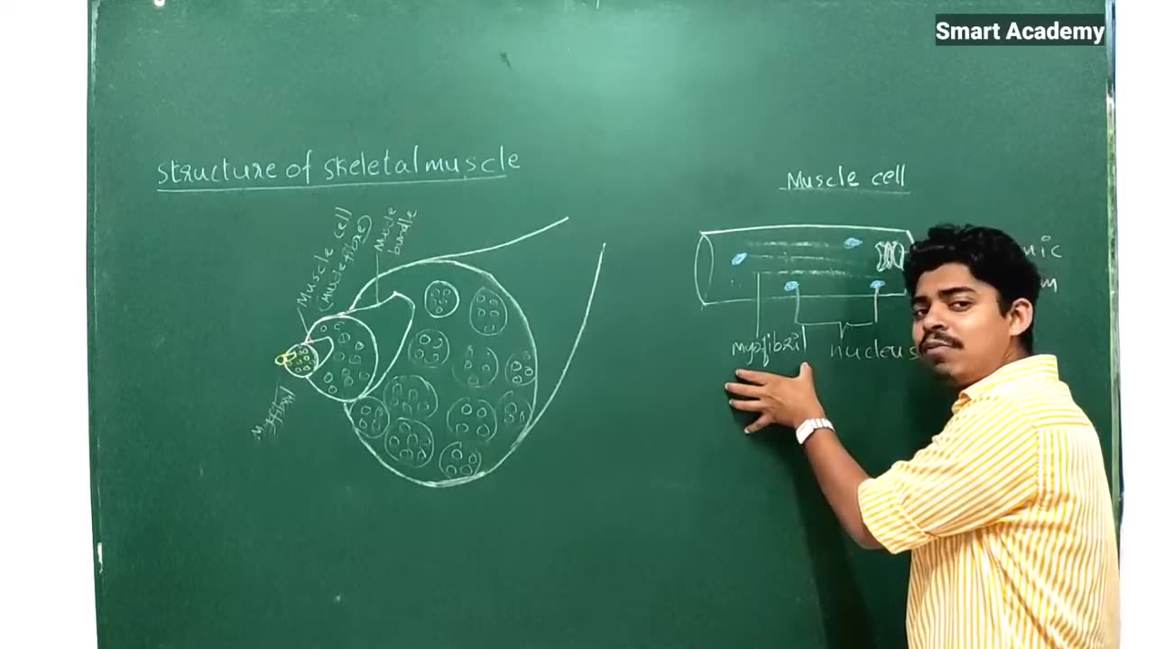 +2 Biology Chapter 16 Part 3-292