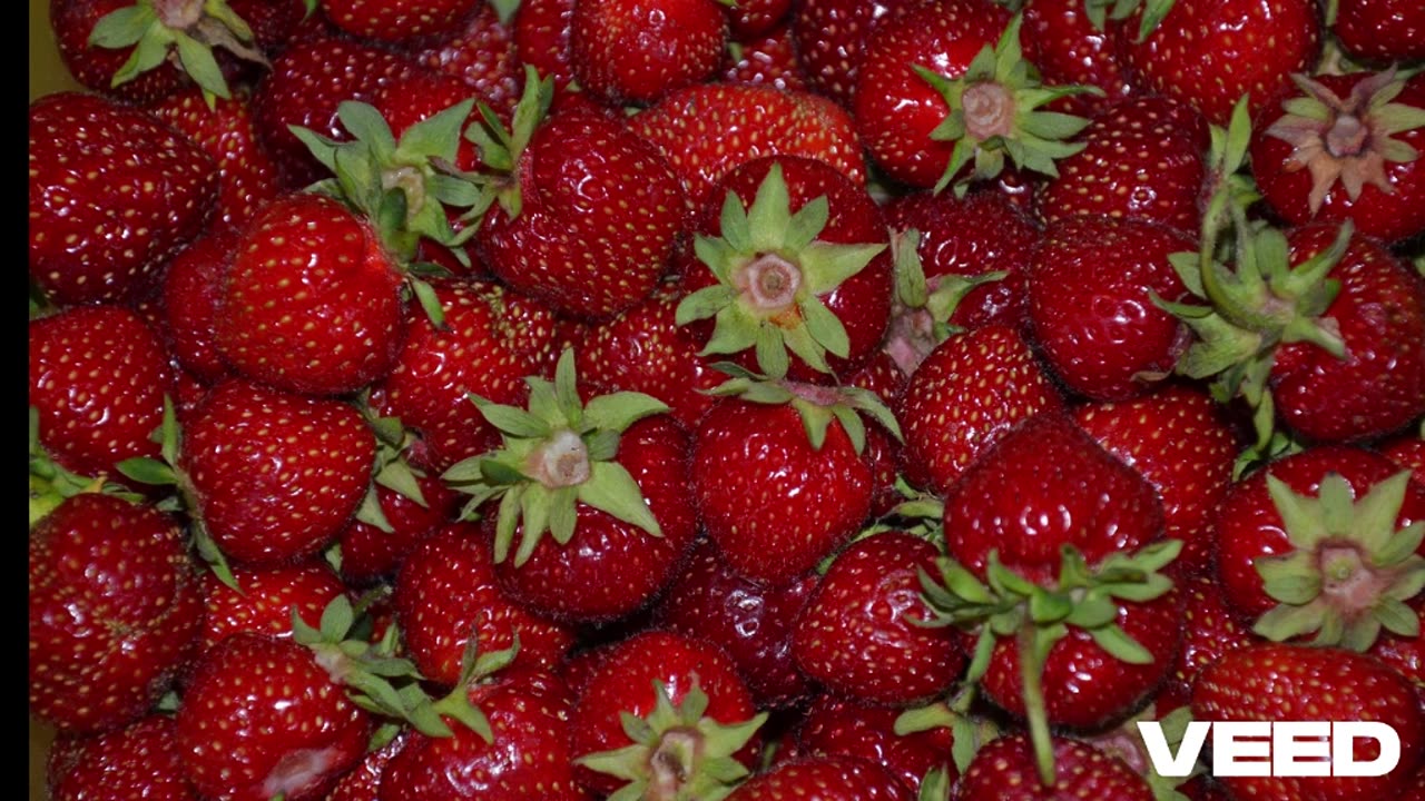 Vestuario Frutillita
