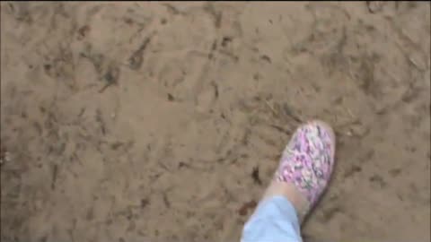 Walking in flower flats